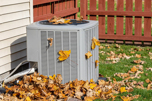 Best HVAC air duct cleaning  in Jena, LA